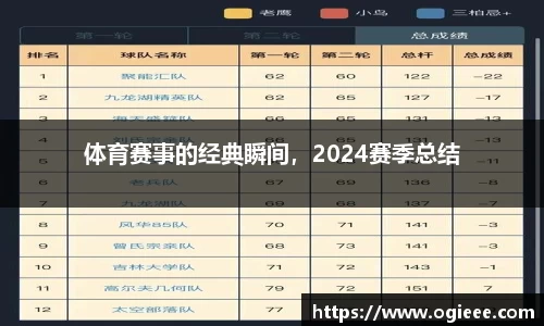 体育赛事的经典瞬间，2024赛季总结